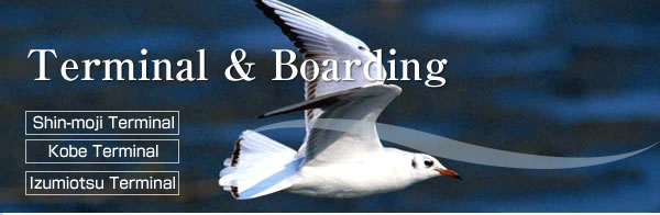Terminal & bording 